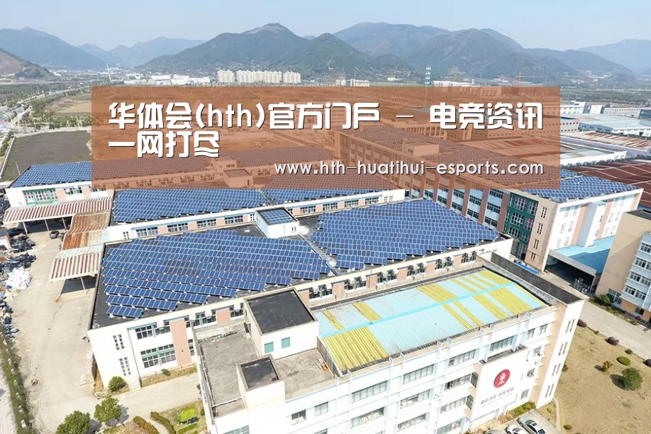 案例展示三