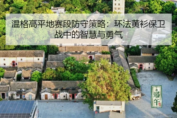 wen-ge-gao-ping-di-sai-duan-fang-shou-ce-lve-huan-fa-huang-shan-bao-wei-zhan-zhong-de-zhi-hui-yu-yong-qi-3-414.jpg