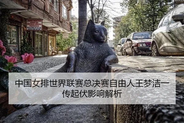 中国女排世界联赛总决赛自由人王梦洁一传起伏影响解析