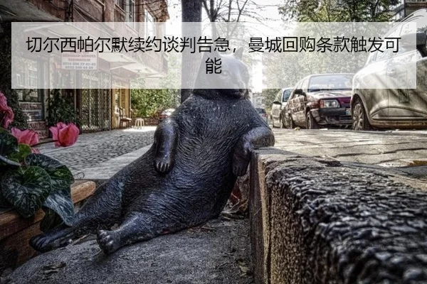 qie-er-xi-pa-er-mo-xu-yue-tan-pan-gao-ji-man-cheng-hui-gou-tiao-kuan-chu-fa-ke-neng-2-157.jpg