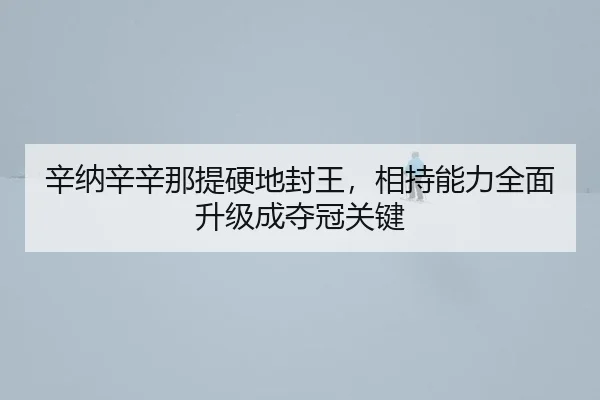 xin-na-xin-xin-na-ti-ying-di-feng-wang-xiang-chi-neng-li-quan-mian-sheng-ji-cheng-duo-guan-guan-jian-3-898.jpg